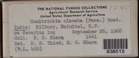 Image Associated With the Occurence